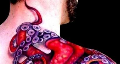 Значение тату осьминог: противоречивый смысл Татуировка щупальца осьминога